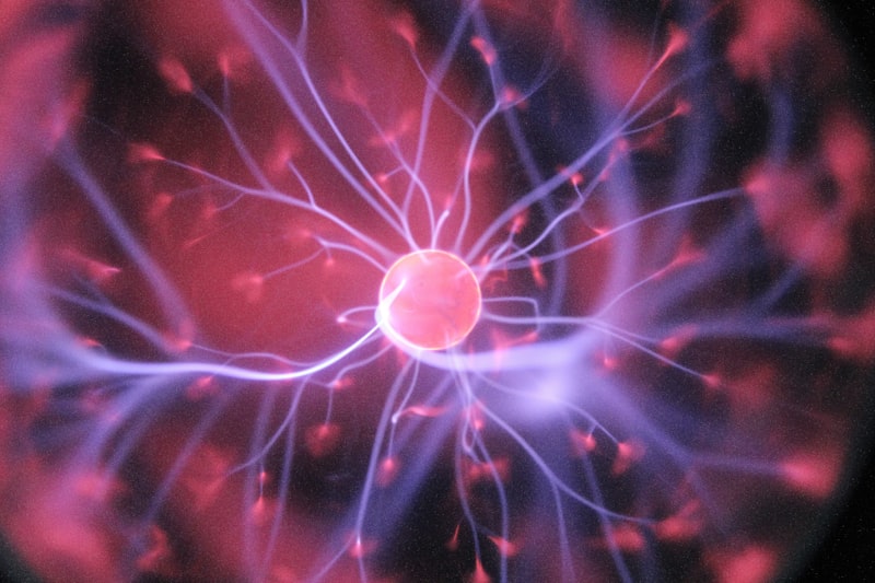 Neuron firing — measurable brain changes begin as early as the second week of consistent cognitive challenge